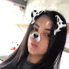 feehsanttos77