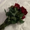 xillw_23