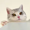 thepancakecat