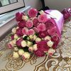 uzer.com02