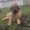 soeren.28121985