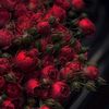 mulberry0_