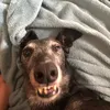 ...benoboyy