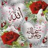 gujjar437
