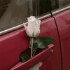 tai_832