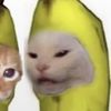 kitmau_the_kitkat