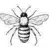 thewanderer_bee