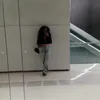 bee_3844