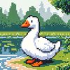 duck4422