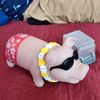 blindpenguin