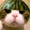 dikkk_1111