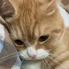 meobarbieiu_