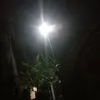 anh_nguyet126