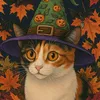 pokeypumpkin