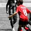 timo_mhb8