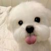 smiling7777777