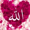 hassnanour211