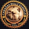 cabanasbullykennels_cbk