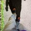 orang_kece1237