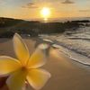 almeem977