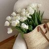 estera.com8
