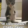skill_master