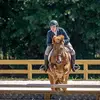 reagan_.eq
