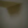 egcbroyesarl