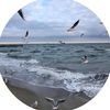 soso_7651