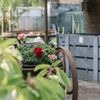 bens.vegetable.garden