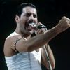 freddie_mercury.fann