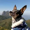 billi_opinscher