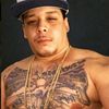wild_tatt3d