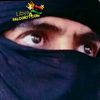 falconzintanylibya