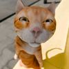 borrrlubb25