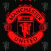natinvincible12