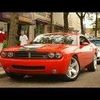 mikewetzel241