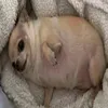 stherlylove