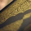 najia397