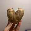 mehdimarcoheisenberg
