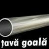 tavagoala3