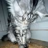 dagshen
