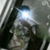mahmoud_yasser28