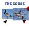 thegooselordofficial