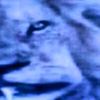 jeccsww47aky