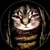 jpcoolguy777