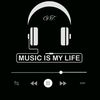 videos.msc_gt