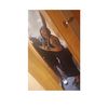 chrissyj252