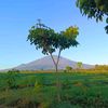 indahsugiyanto