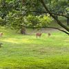 serenity_0208